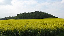 Hänscheberg von Süden betrachtet