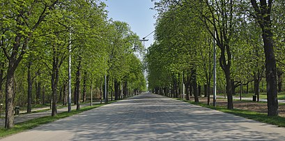 So kommt man zu der Prater Hauptallee mit den Öffentlichen - Mehr zum Ort Hier