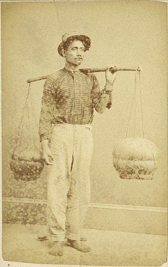 A Hawaiian poi dealer, circa 1870