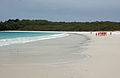 Hyams Beach