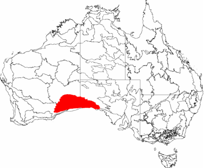 Равнина Налларбор на карте Австралии