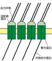 於 2016年10月3日 (一) 18:59 版本的縮圖