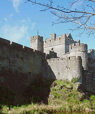 <span class="mw-page-title-main">Siege of Cahir Castle</span> Siege during the Nine Years War in Ireland