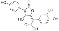 Isoxerocomsäure1.tif