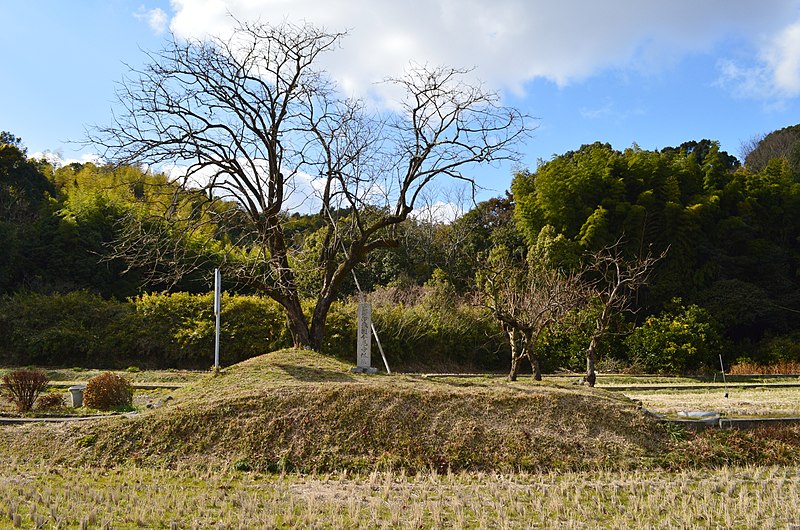 File:Iyo Kokubun-niji-ato, tou-ato.jpg