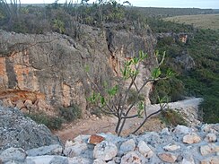 Semi-arid climate in Pedernales, Dominican Republic