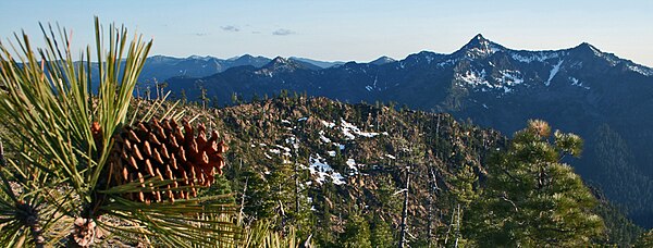 Serpentine outcrop high in the Siskiyou Wilderness of northwest California—here Jeffrey pine dominates the landscape.