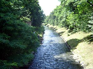 Gliwice: Geografia, Podział administracyjny, Ochrona środowiska