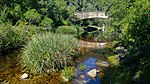 The road between George and Knysna was constructed with great skill between 1862 and 1882 by Thomas Bain. It has seven passes crossing rivers in densely forested gorges. The declared part is unspoilt and includes two concrete bridges. This picturesque grav Type of site: Road