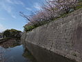 鹿児島城石垣