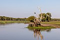 * Nomination Australasian Darter at Ngurrungurrudjba (Yellow Water) in Kakadu National Park, Northern Territory, Australia --XRay 05:56, 1 March 2020 (UTC) * Promotion  Support Good quality -- Johann Jaritz 06:00, 1 March 2020 (UTC)