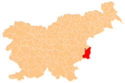 Localização do município de Brežice na Eslovênia