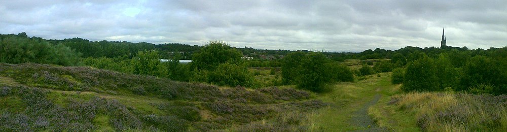 Kersal Moor Pan.JPG