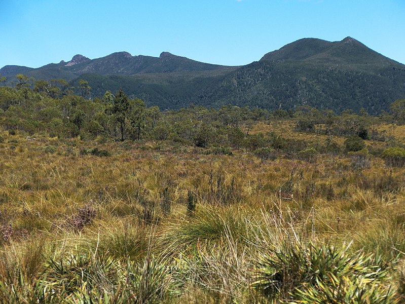 File:King William Saddle landscape 20171121-018.jpg