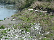 A septic drain field exposed by erosion Klamath Septic Leach Field.JPG