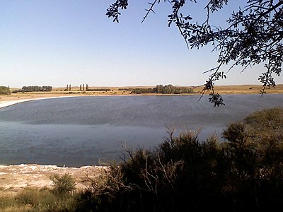 Lagune Utracán à Utracán près de la ville de General Acha et d'accès facile.