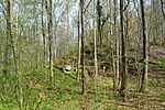 Landschaftsschutzgebiet Huy - Daneilshöhle (24).JPG