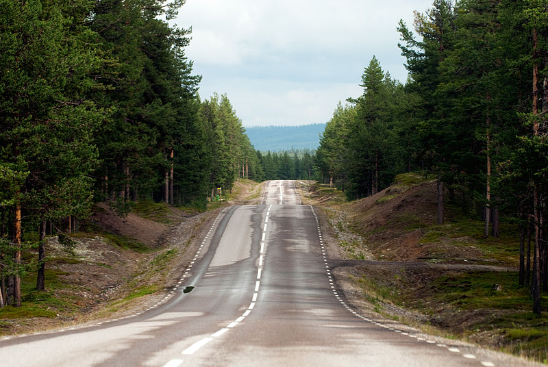 File:Landsvag i norra Sverige, Johannes Jansson (1).jpg