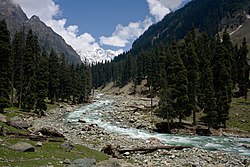 Lidder River 1.jpg