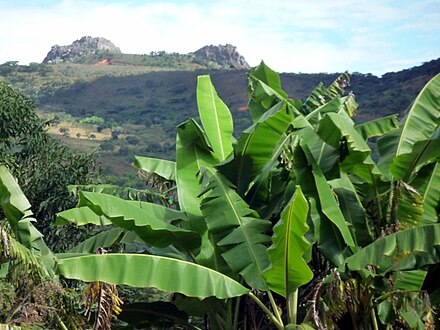 Eisen Berg Liganga in Ludewa District, Njombe Region, Tanzania Liganga iron mountain in Ludewa District, Njombe Region, Tanzania 2.jpg