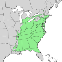 Liriodendron tulipifera range map 3.png