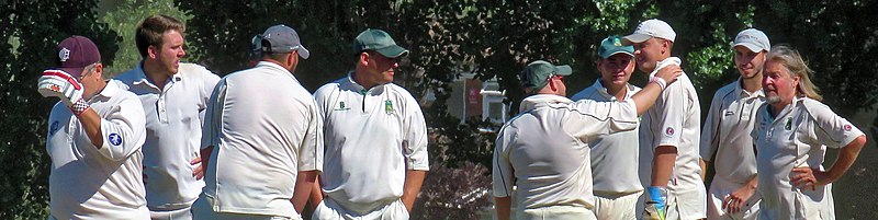 File:Little Hallingbury CC v. Thorley CC at Gaston Green, Essex 003 cropped for banner.jpg