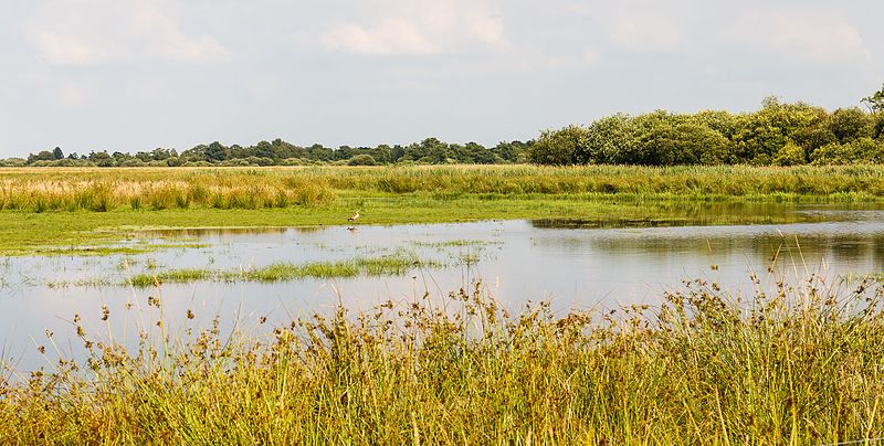 File:Locatie, Lendevallei. Trektocht door de vallei 27.jpg