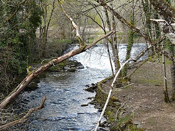 La Loue au moulin de Beausoleil, en limite de Sarlande (à gauche) et d'Angoisse.