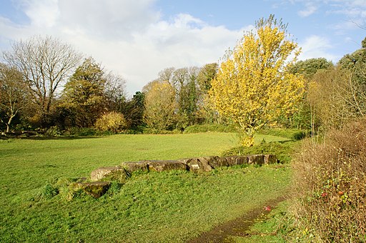 Low sandstone wall at Abbots Wood Garden - geograph.org.uk - 3219246