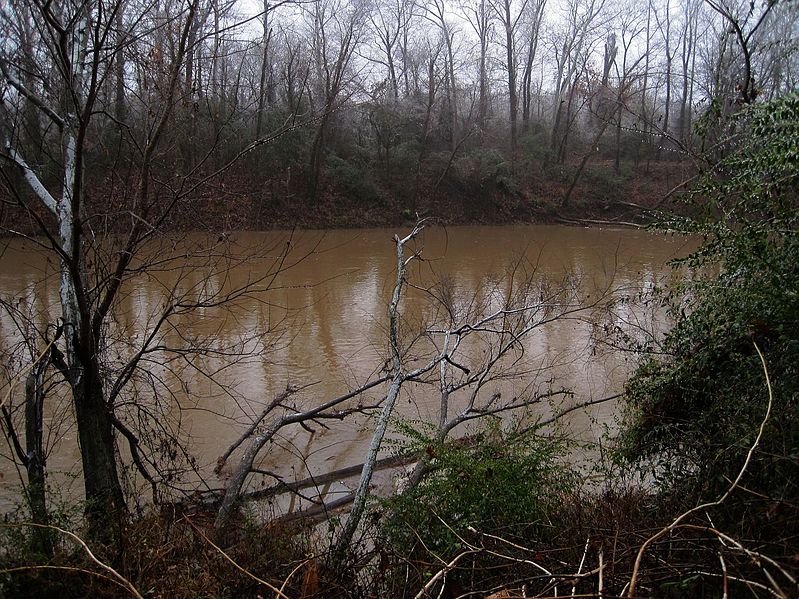 File:Lucius Burch Jr Natural Area Memphis TN 2013-12-08 012.jpg