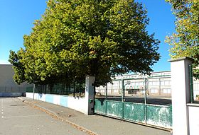 A Lycée Jules-Ferry (Saint-Dié-des-Vosges) cikk illusztráló képe