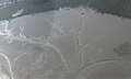 Mangere Inlet Fractal Patterns In Mudflats.jpg