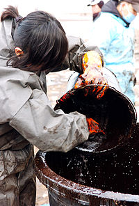 A volunteer worker collects oil from the beach Manripo071210 8.jpg