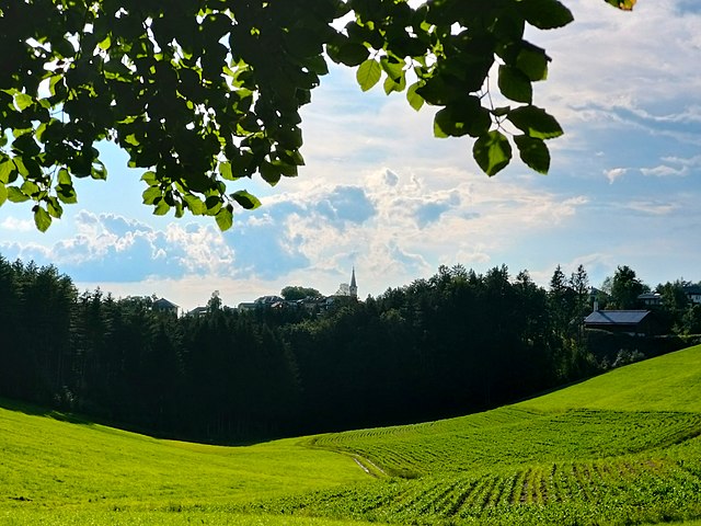 Ortskern von Maria Schmolln, von Osten aus gesehen