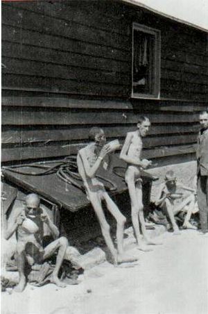 Camp De Concentration De Mauthausen: Histoire, Prisonniers, Libération et héritage