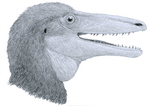 Миниатюра для Файл:Megaraptor bust.png
