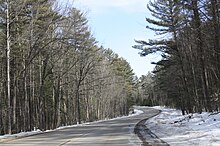 Woods occupy most of Menominee County. MenomineeCountyWoodsCountyVV.jpg