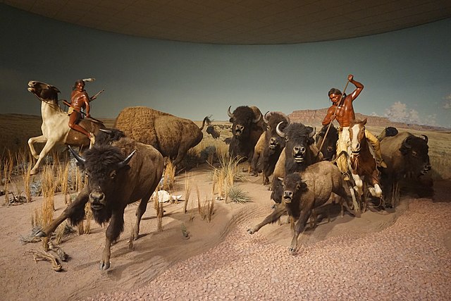 The Crow Indian Buffalo Hunt diorama at the Milwaukee Public Museum