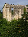 Montigny-lès-Cherlieu - Abbaye de Cherlieu 30.JPG