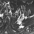 Mount Deception, hanging glacier remnant, October 3, 1966 (GLACIERS 5165).jpg