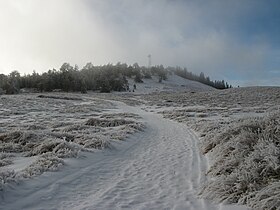 Mont Pinos.jpg