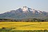 Mt Iwaki and Nanohana Ajigasawa Aomori Jp P5111202.jpg