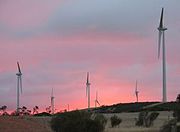 Mount Millar wind farm at sunset