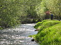 Thumbnail for Little Cottonwood Creek (Salt Lake County, Utah)