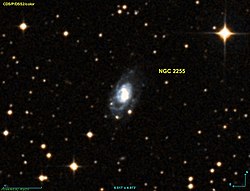 NGC 2255.jpg