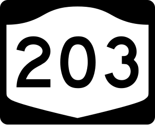 <span class="mw-page-title-main">New York State Route 203</span> State highway in New York, US