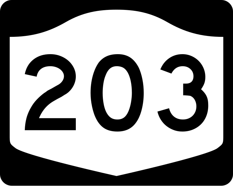 File:NY-203.svg