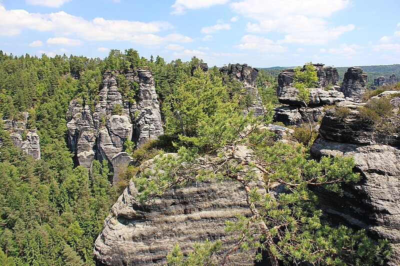 File:Nationalpark Sächsische Schweiz IMG 7802WI.jpg