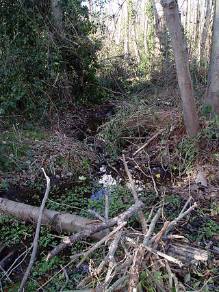 <span class="mw-page-title-main">Yesler Creek</span>