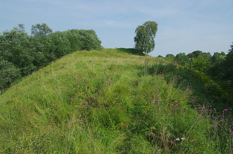 File:Nemenčinės piliakalnis (http-www.piliakalniai.lt-piliakalnis.php^piliakalnis id=766) - panoramio (2).jpg